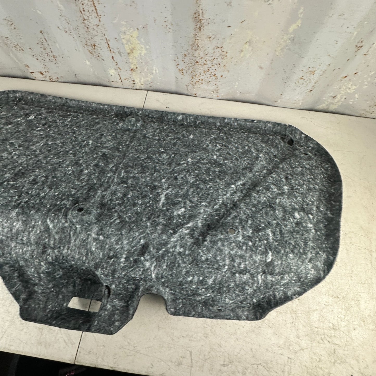 2015 - 2023 DODGE CHALLENGER TRUNK DECK LID PANEL LINER COVER CARPET TRIM OEM