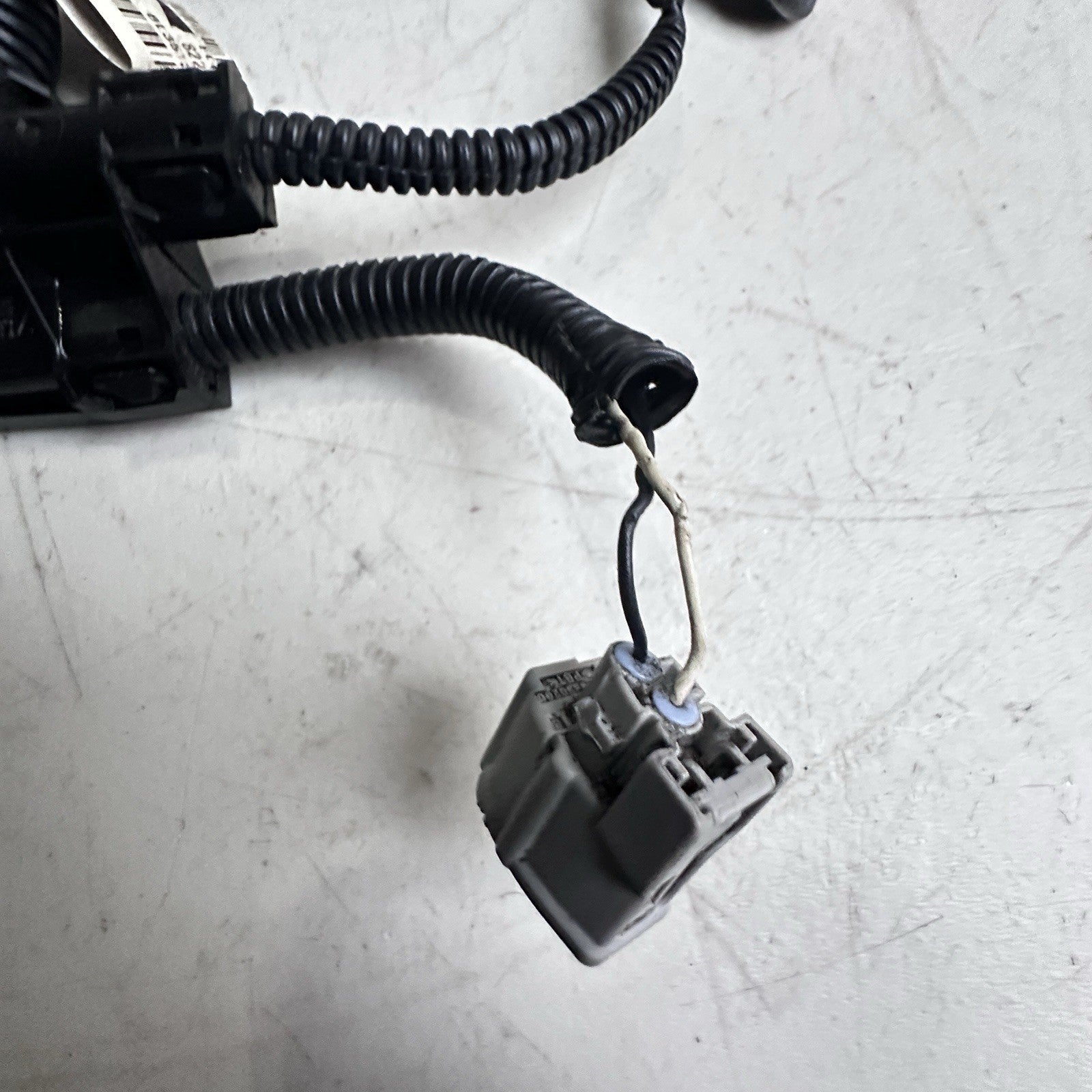 2019-2022 Toyota Corolla 2.0 Knock Sensor Wiring Harness 82219-02 040 OEM 4 CYL