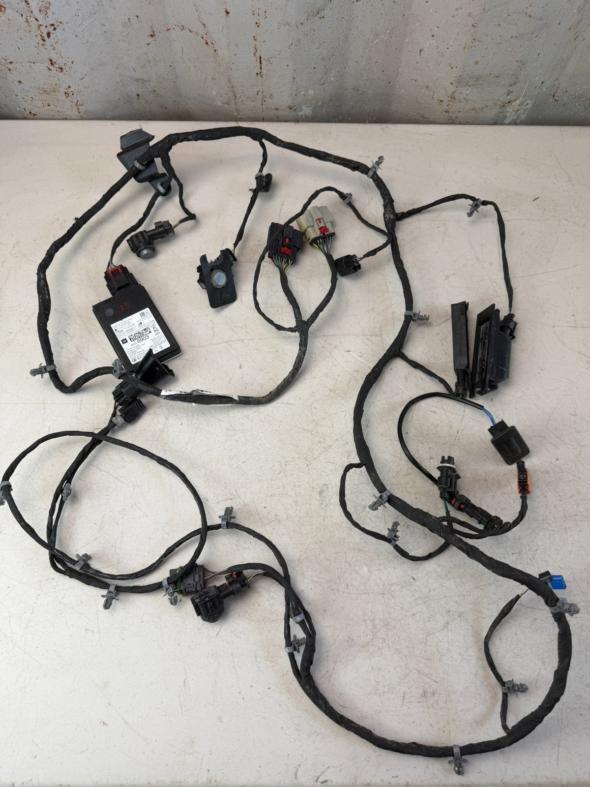 2019-2024 CHEVROLET CAMARO BLIND SPOT CONTROL MODULE W/ HARNESS 84428903 OEM