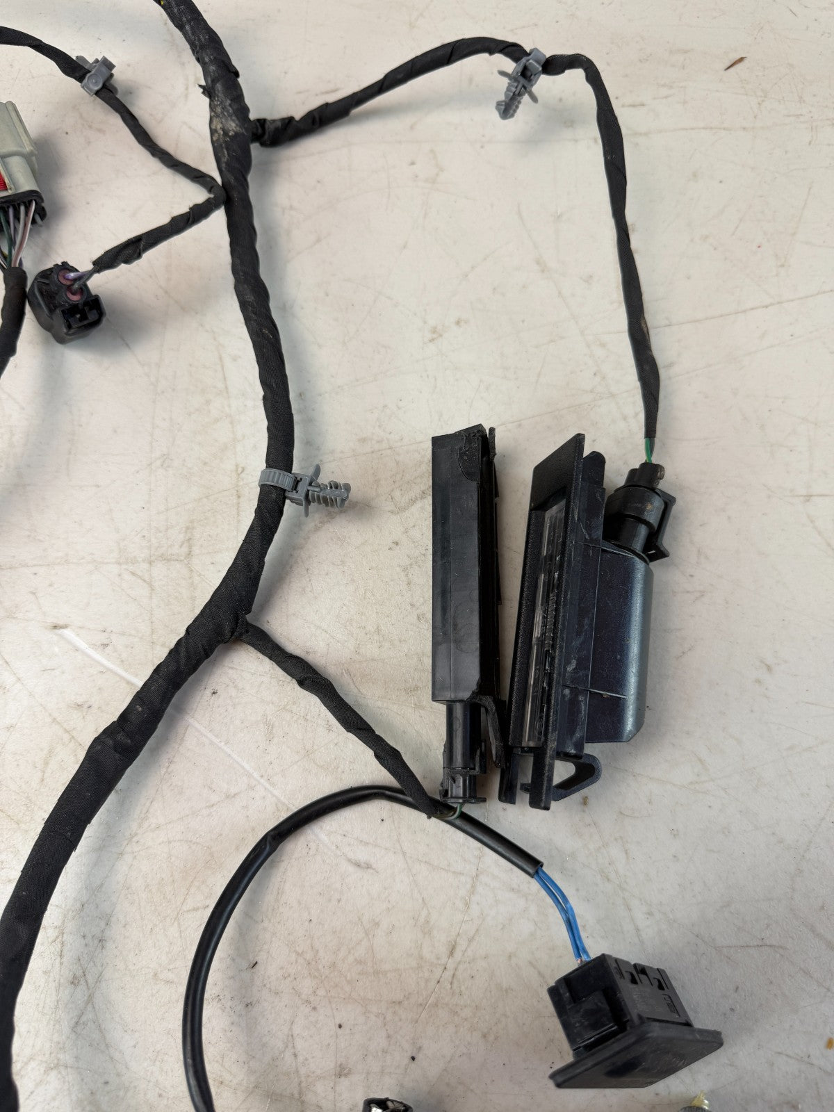 2019-2024 CHEVROLET CAMARO BLIND SPOT CONTROL MODULE W/ HARNESS 84428903 OEM