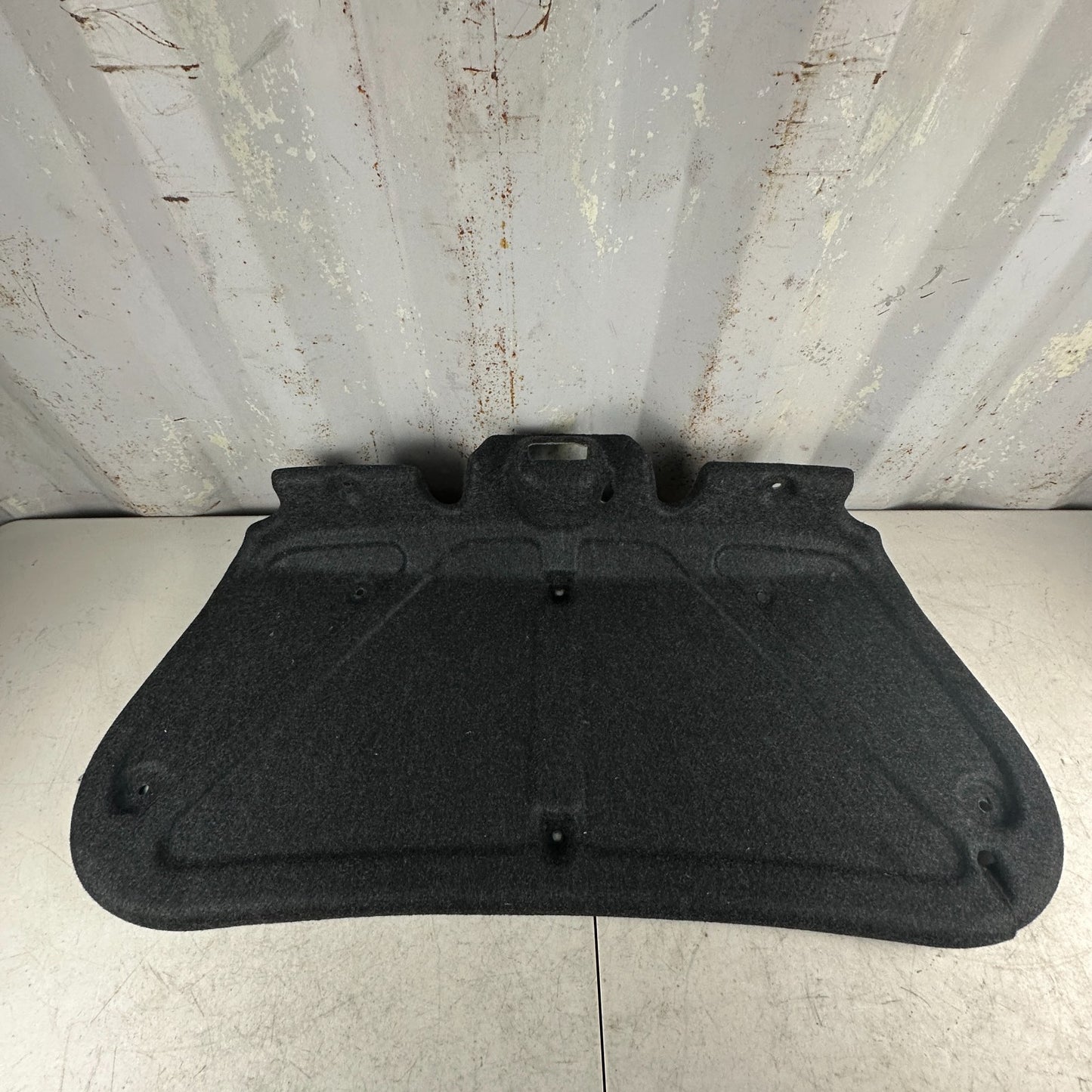 2015 - 2023 DODGE CHALLENGER TRUNK DECK LID PANEL LINER COVER CARPET TRIM OEM