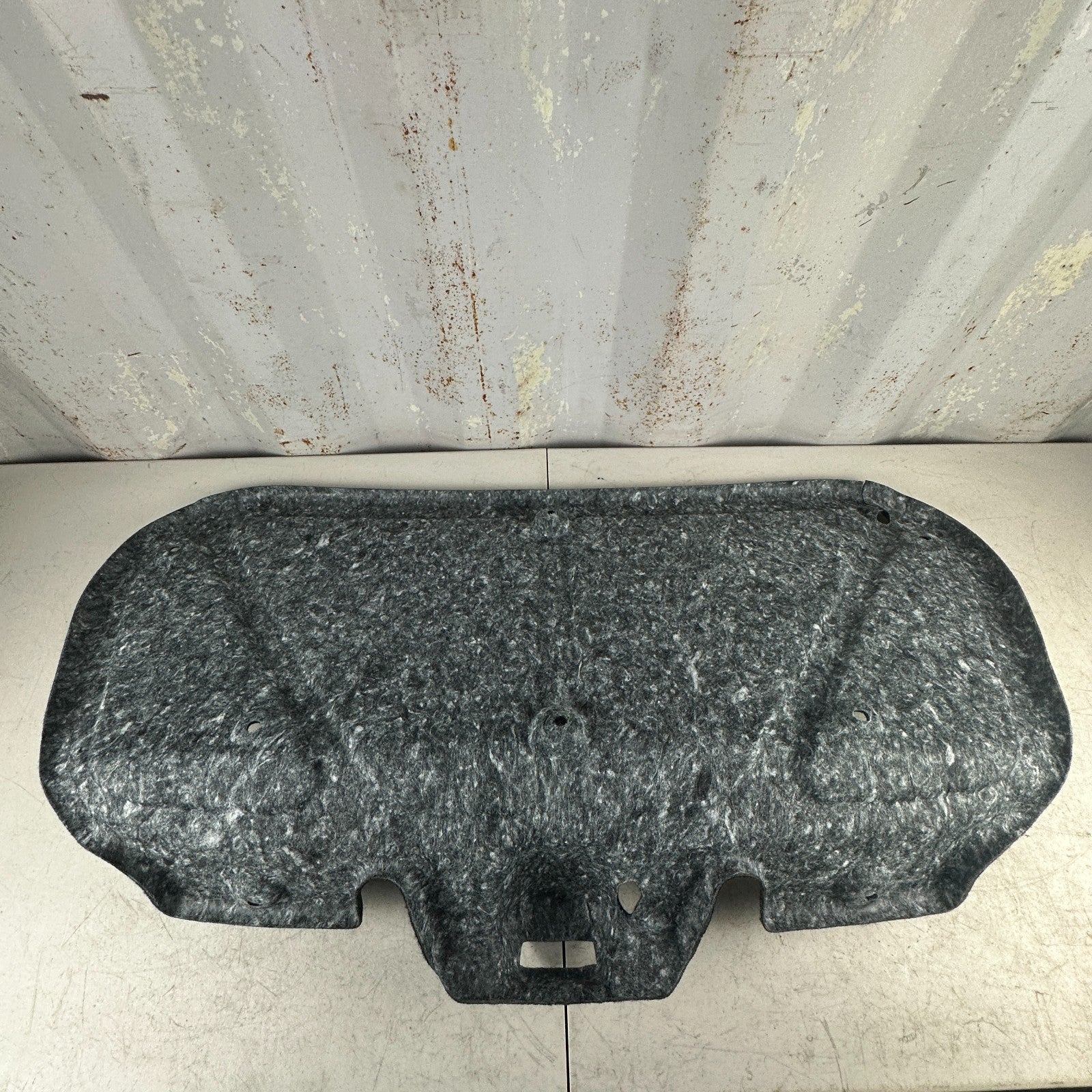 2015 - 2023 DODGE CHALLENGER TRUNK DECK LID PANEL LINER COVER CARPET TRIM OEM