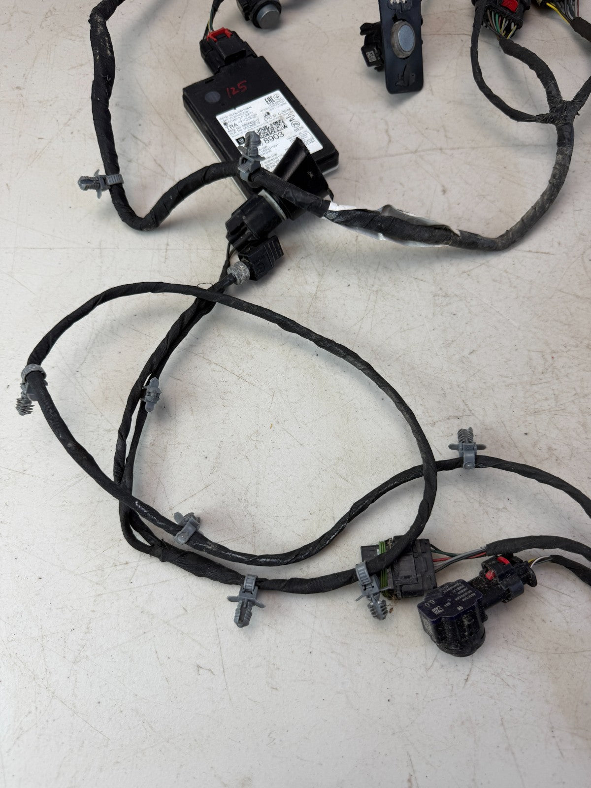 2019-2024 CHEVROLET CAMARO BLIND SPOT CONTROL MODULE W/ HARNESS 84428903 OEM