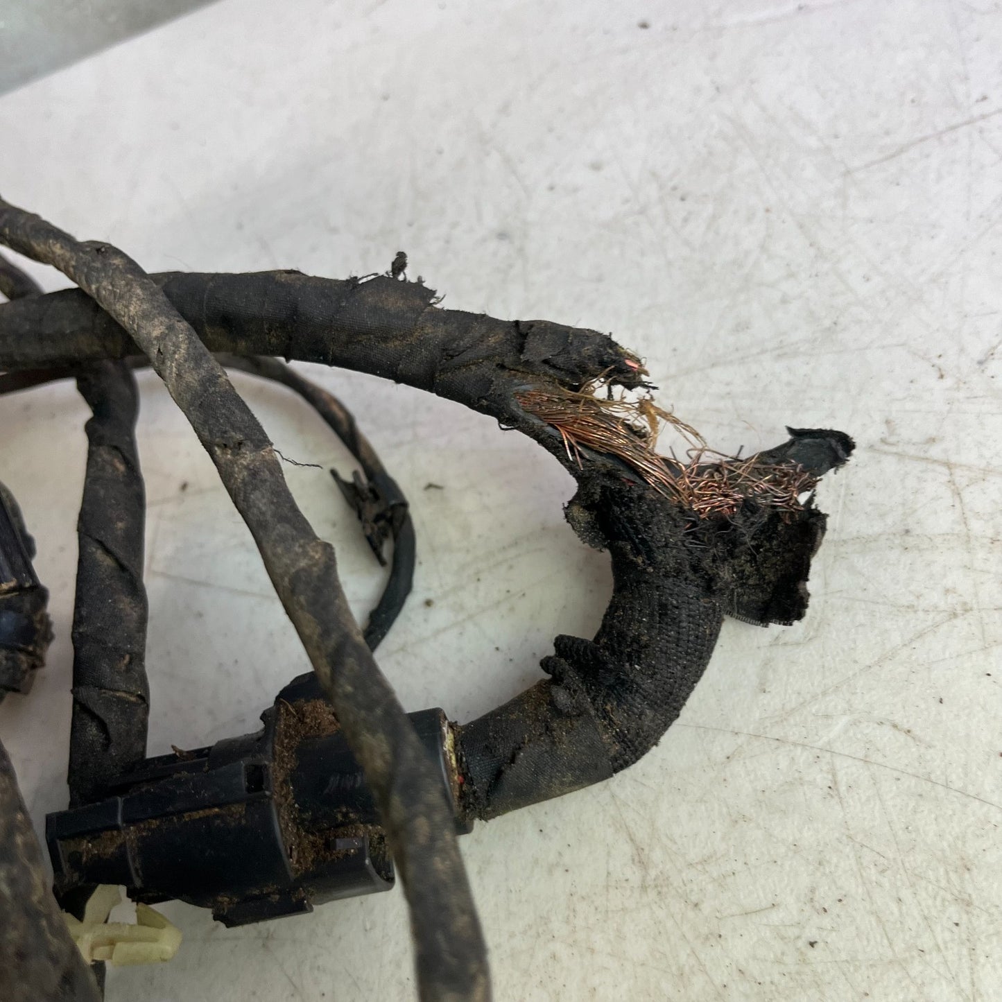 2015 DODGE CHALLENGER ENGINE ROOM FRONT BODY WIRE WIRING HARNESS 68225889AD OEM